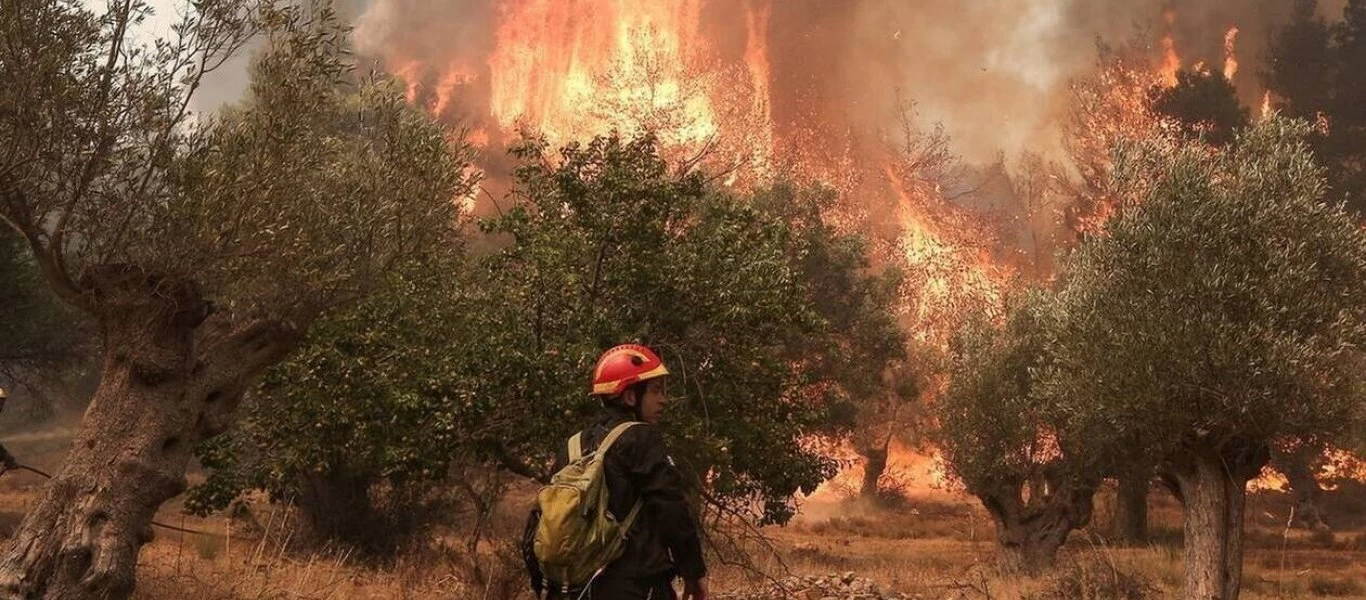Φωτιά σε πευκόδασος στο Παραδείσι Αιτωλοακαρνανίας